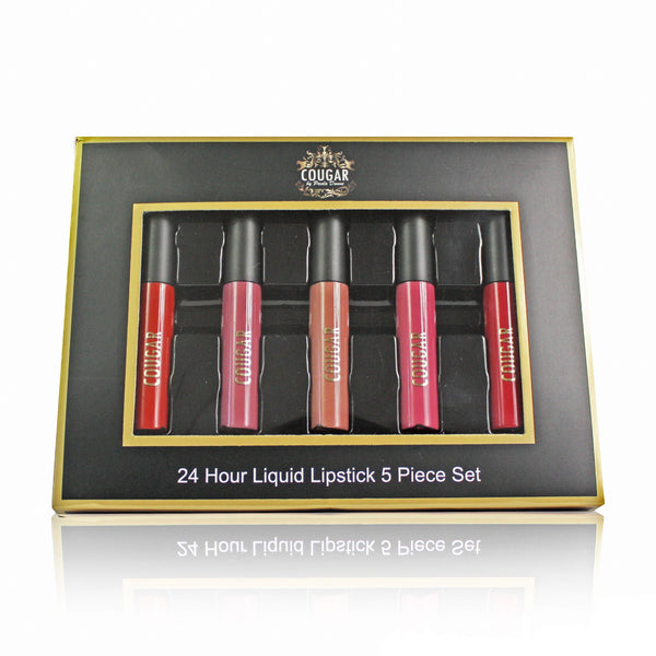 5 PIECE LIQUID LIPSTICK SET