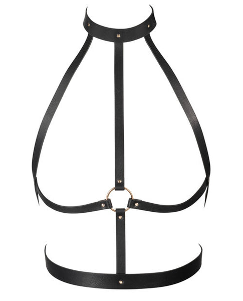 Maze H Harness