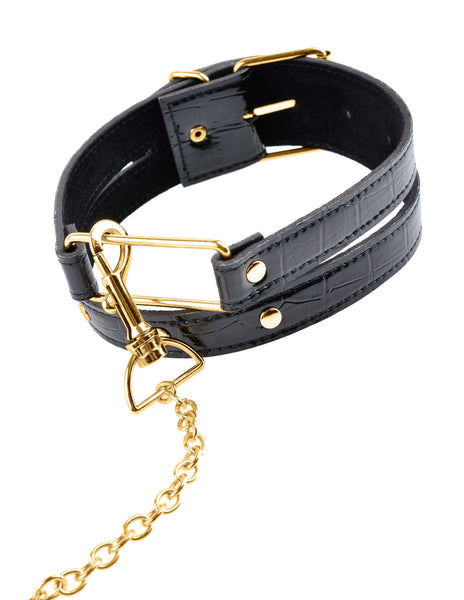 Gold & Black Collar-Leash