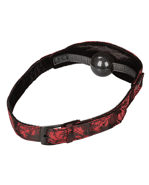 Scandal Hidden Pleasure Ball Gag